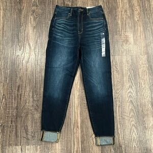 American Eagle Curvy Highest Rise Jeggings